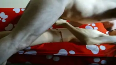 Live ABG Jakarta Bispak Hotel Bintang Lima Skandal Viral